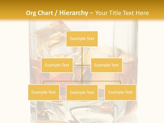 Liquor Drink Alcohol PowerPoint Template