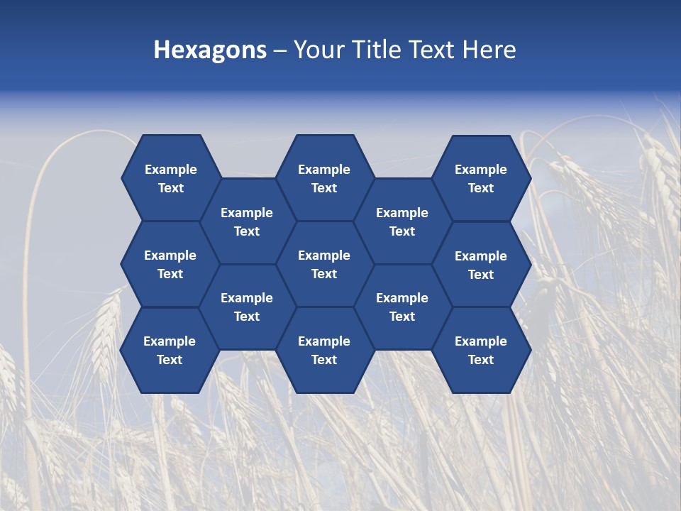 Field Growing Seed PowerPoint Template