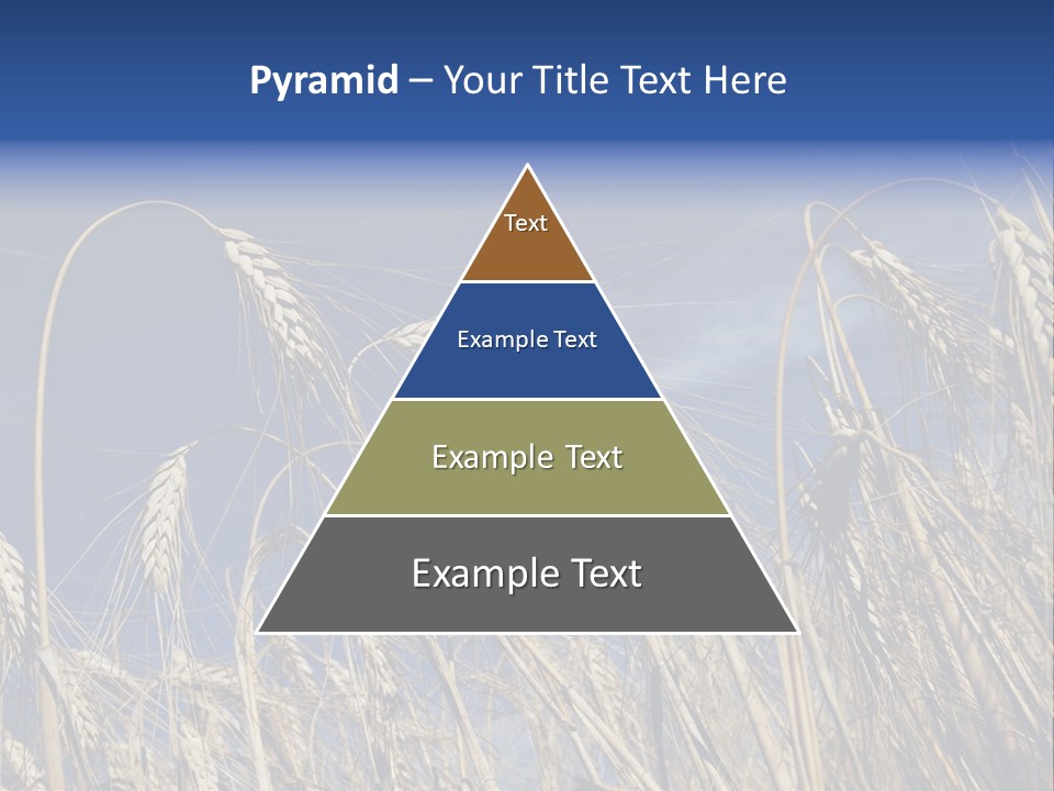 Field Growing Seed PowerPoint Template