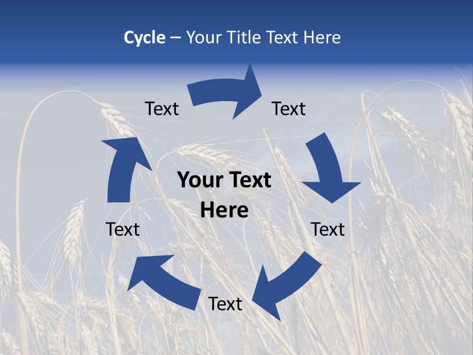 Field Growing Seed PowerPoint Template