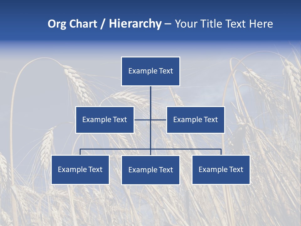 Field Growing Seed PowerPoint Template