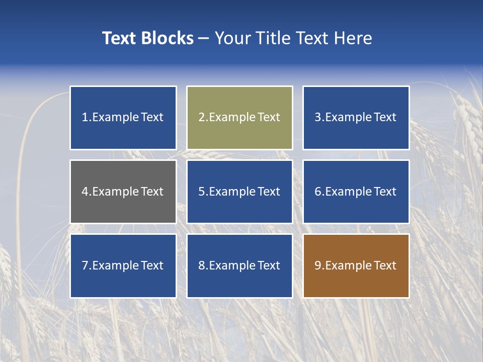 Field Growing Seed PowerPoint Template