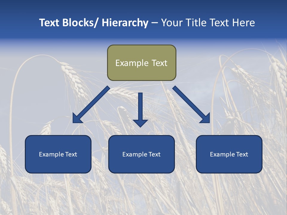 Field Growing Seed PowerPoint Template