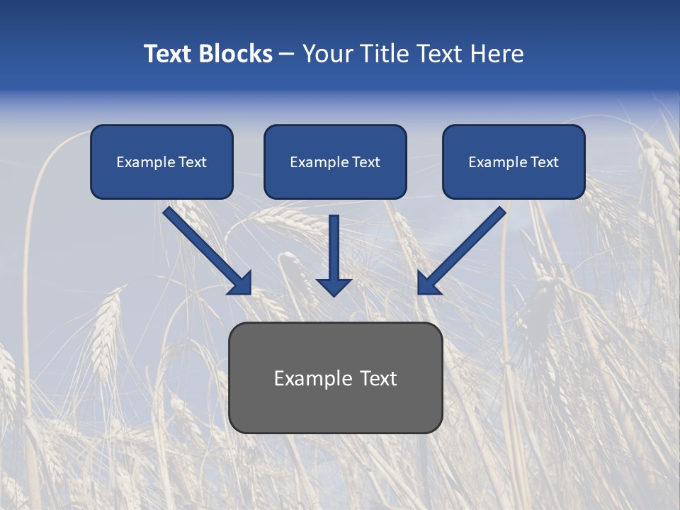 Field Growing Seed PowerPoint Template