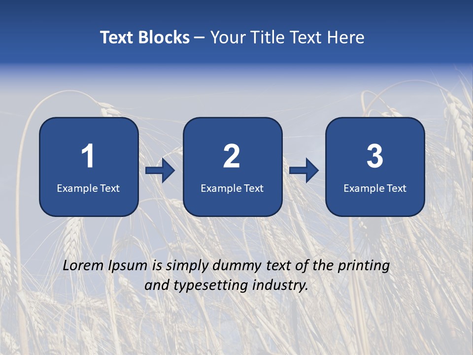 Field Growing Seed PowerPoint Template