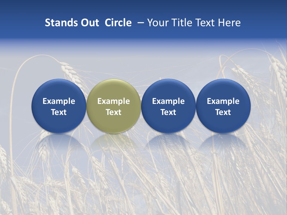 Field Growing Seed PowerPoint Template