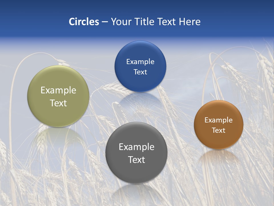 Field Growing Seed PowerPoint Template
