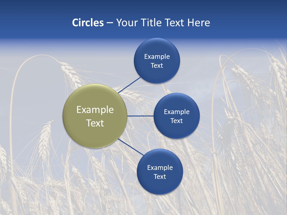 Field Growing Seed PowerPoint Template