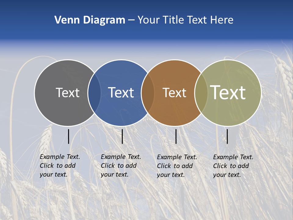 Field Growing Seed PowerPoint Template