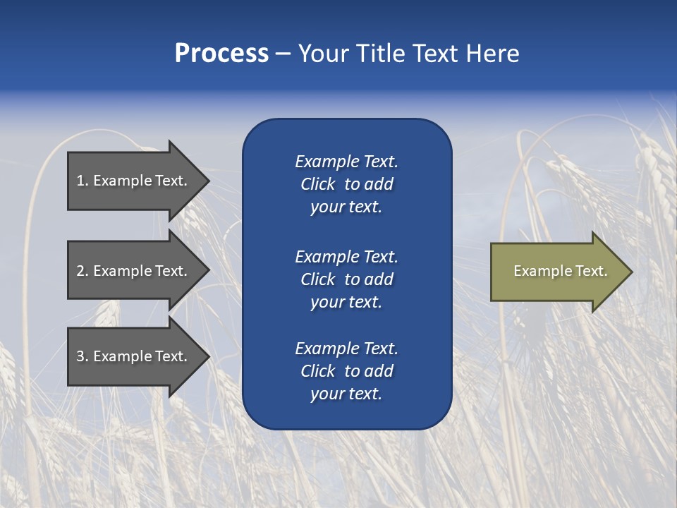 Field Growing Seed PowerPoint Template