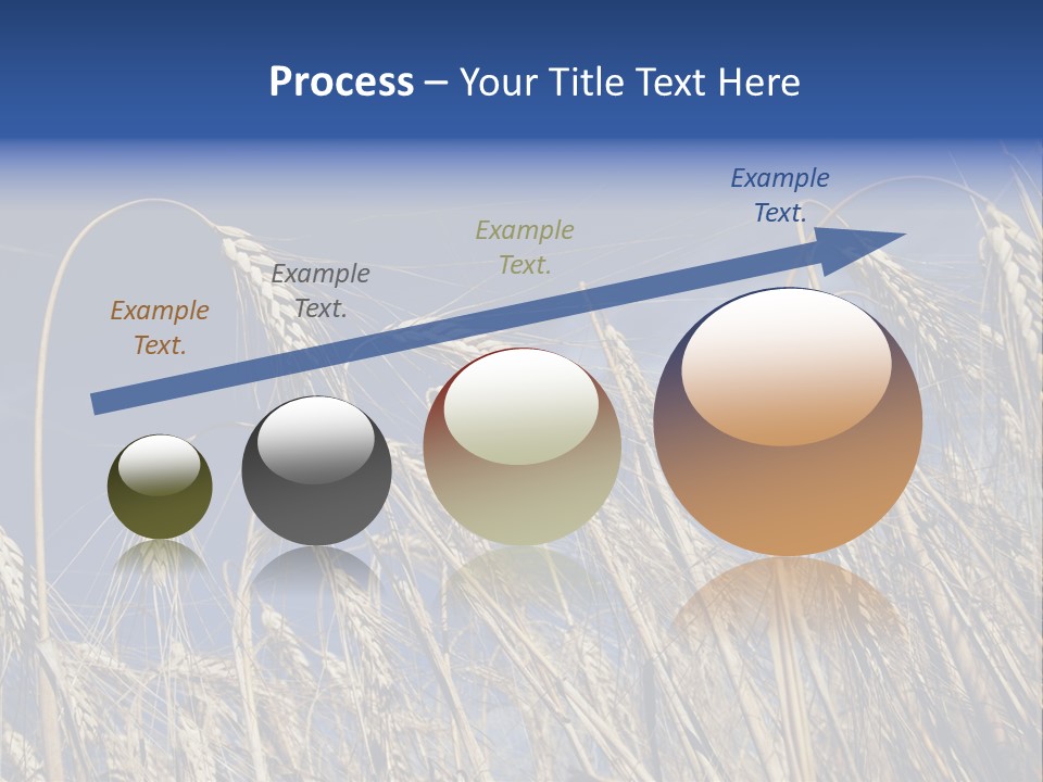 Field Growing Seed PowerPoint Template