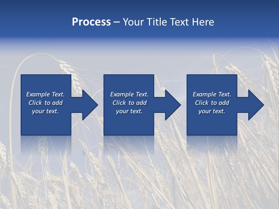 Field Growing Seed PowerPoint Template
