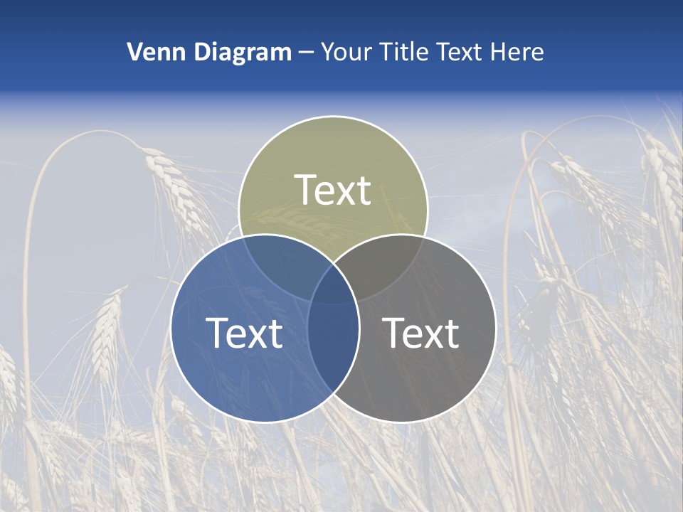 Field Growing Seed PowerPoint Template