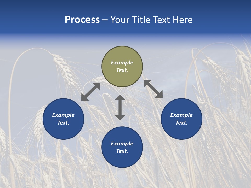 Field Growing Seed PowerPoint Template