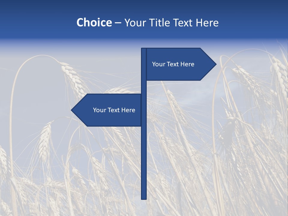 Field Growing Seed PowerPoint Template