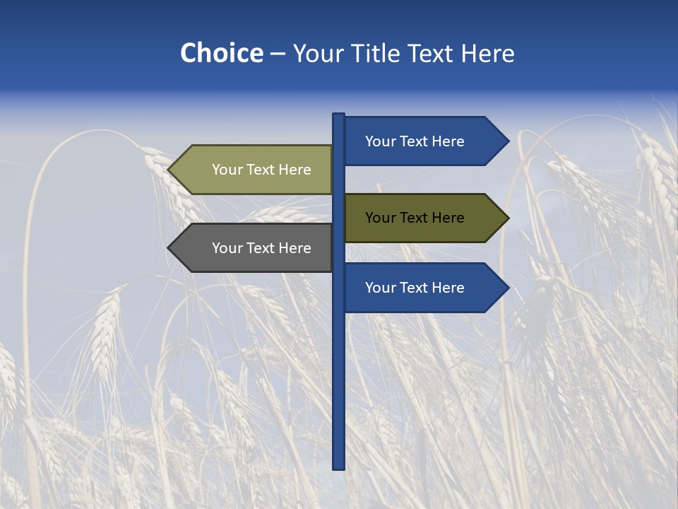 Field Growing Seed PowerPoint Template
