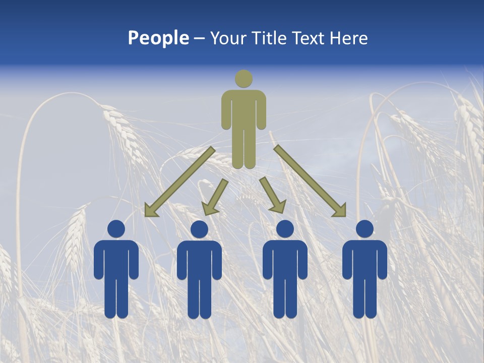 Field Growing Seed PowerPoint Template