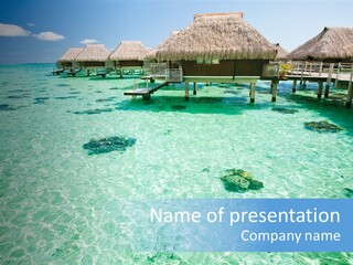 Pacific Ocean Coast PowerPoint Template