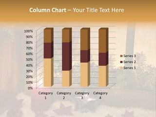 Window Frosting Peasant PowerPoint Template