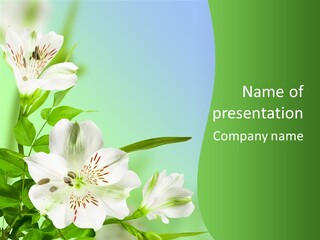 Pretty Garden Plant PowerPoint Template