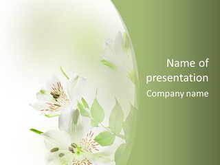 Lily White Spa PowerPoint Template