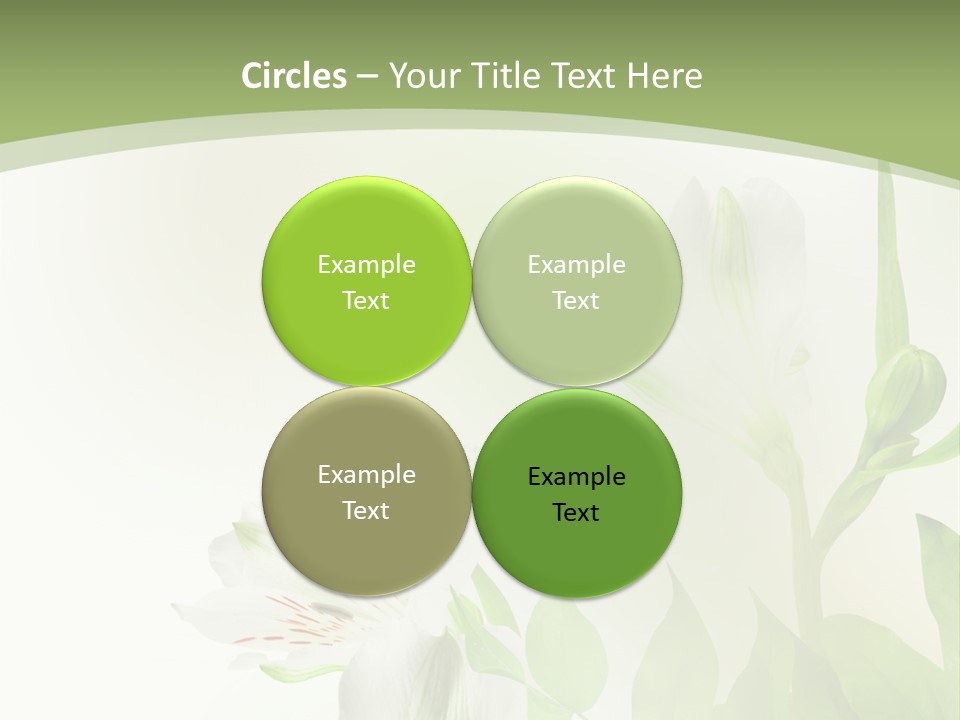 Lily White Spa PowerPoint Template