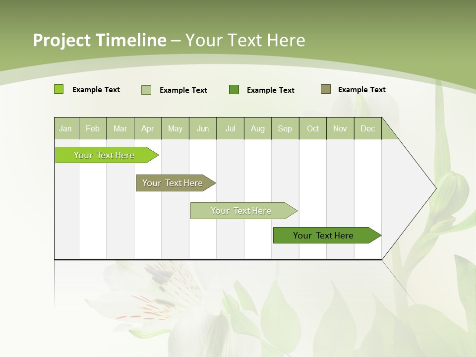 Lily White Spa PowerPoint Template