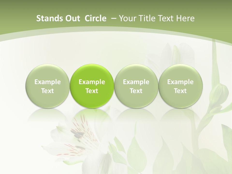 Lily White Spa PowerPoint Template