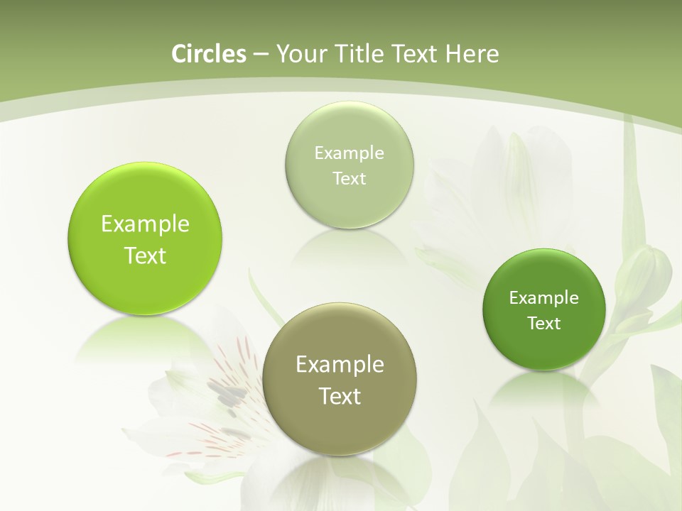 Lily White Spa PowerPoint Template