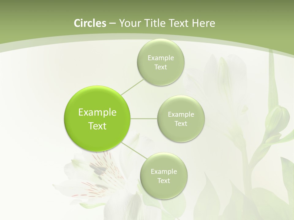 Lily White Spa PowerPoint Template