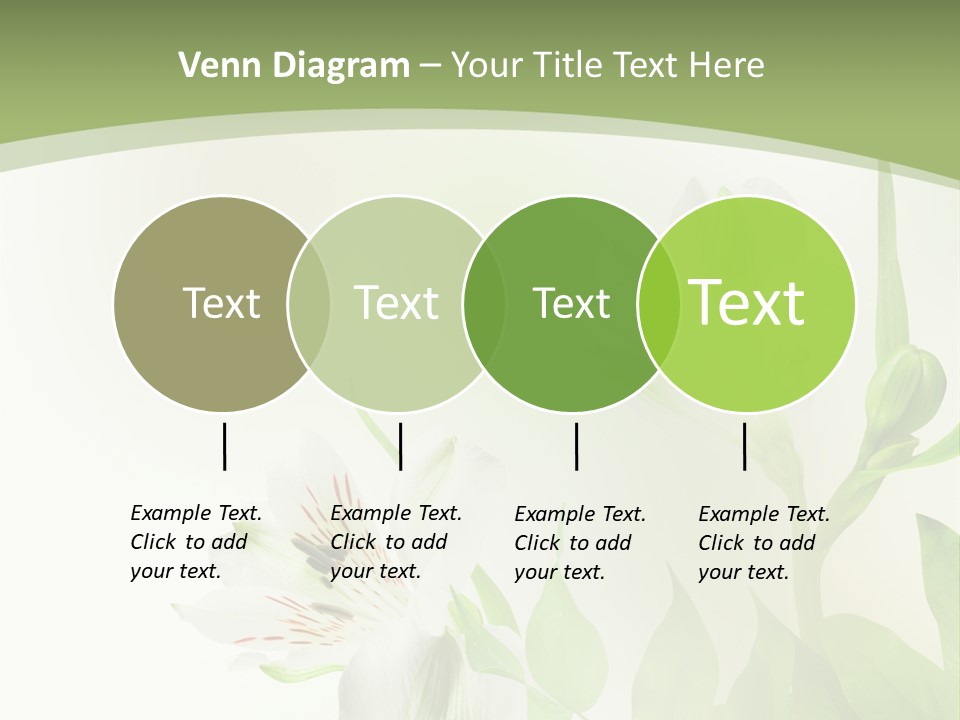 Lily White Spa PowerPoint Template