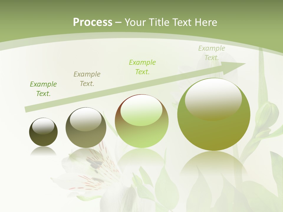 Lily White Spa PowerPoint Template