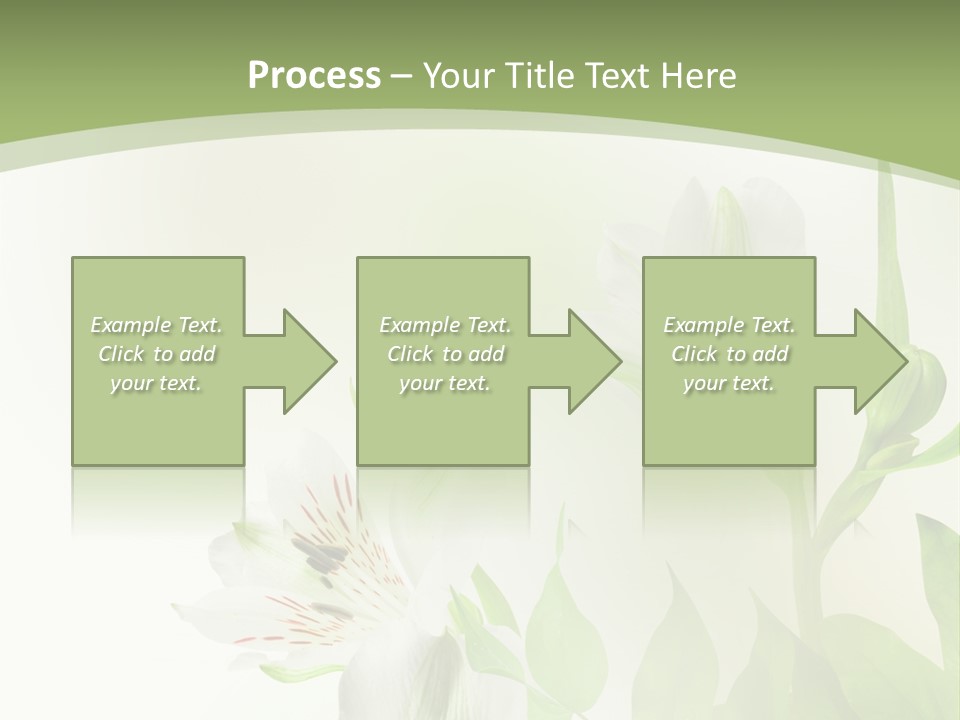 Lily White Spa PowerPoint Template