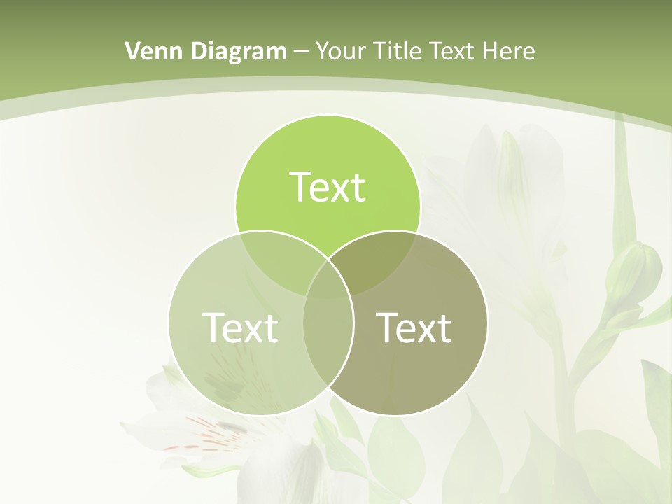 Lily White Spa PowerPoint Template