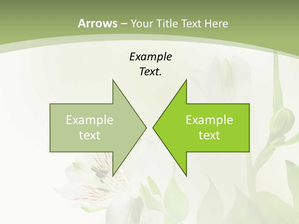 Lily White Spa PowerPoint Template