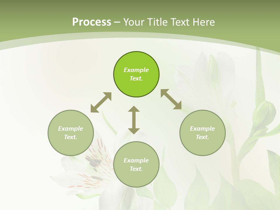 Lily White Spa PowerPoint Template