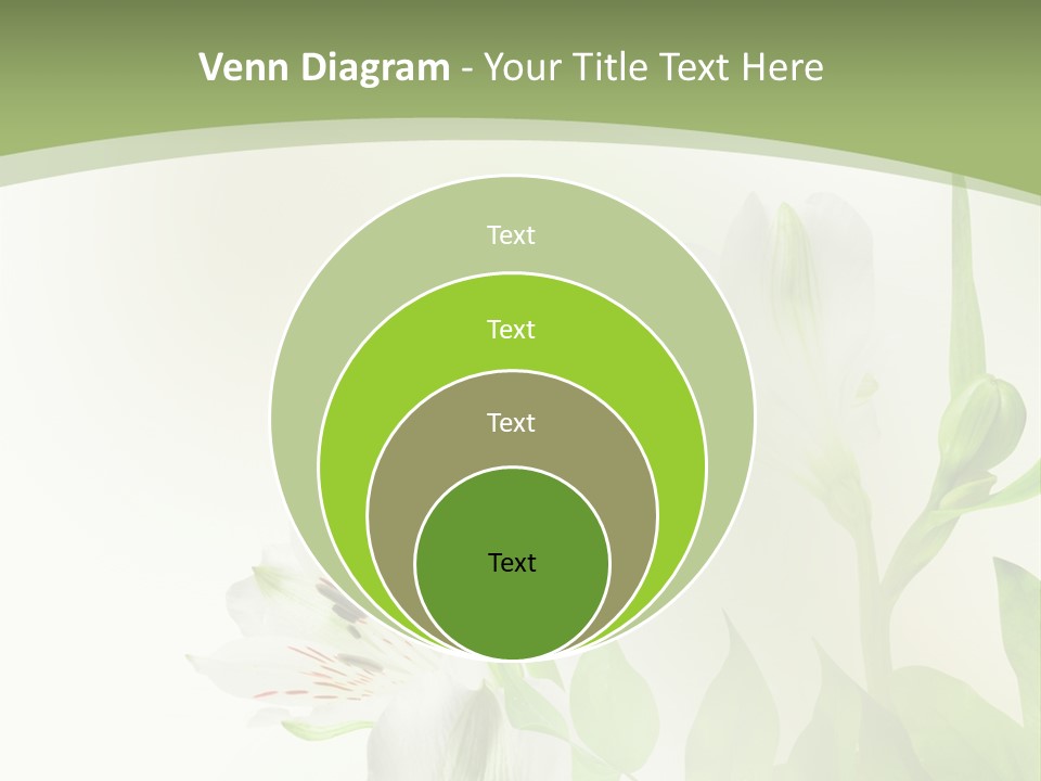 Lily White Spa PowerPoint Template