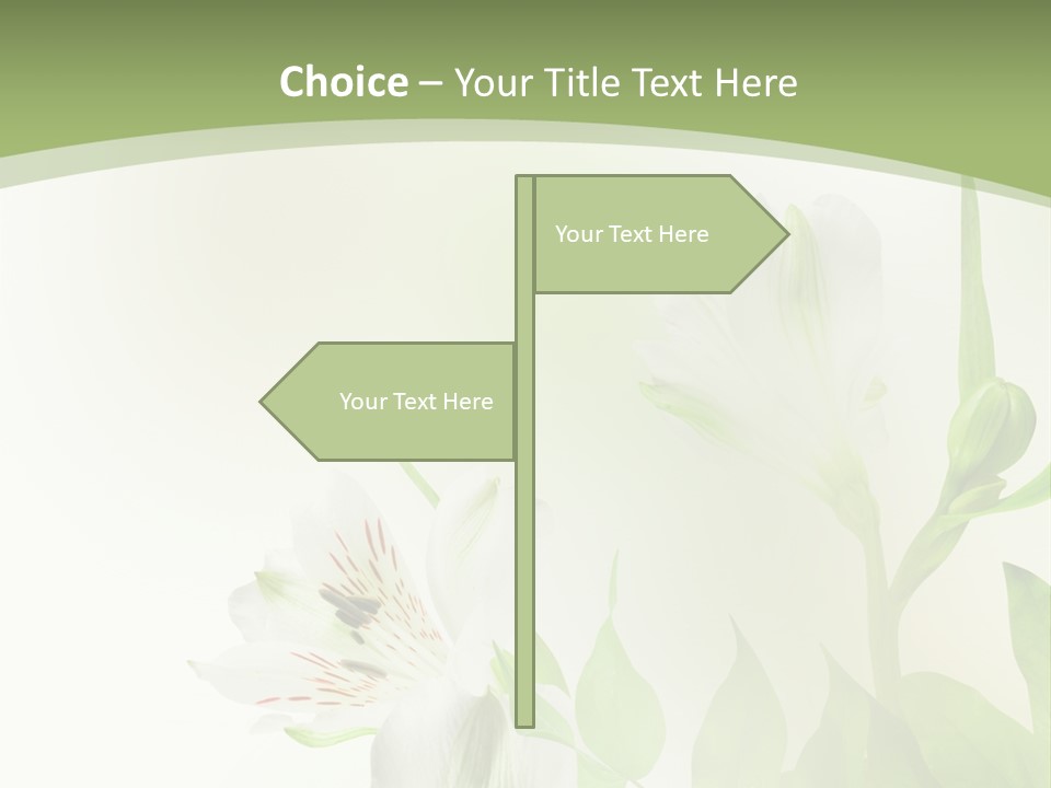 Lily White Spa PowerPoint Template
