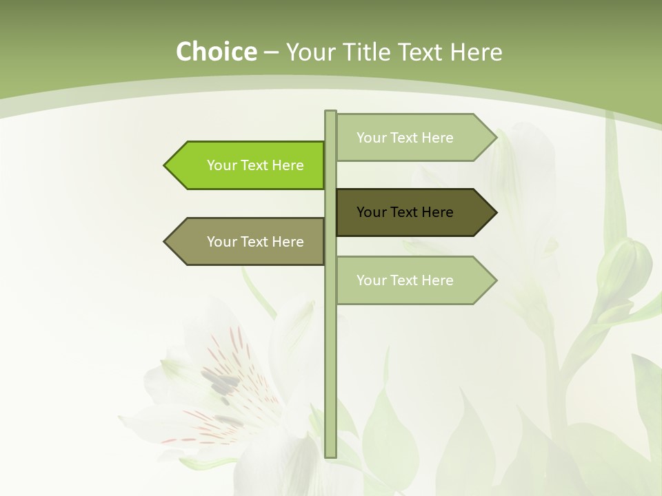 Lily White Spa PowerPoint Template