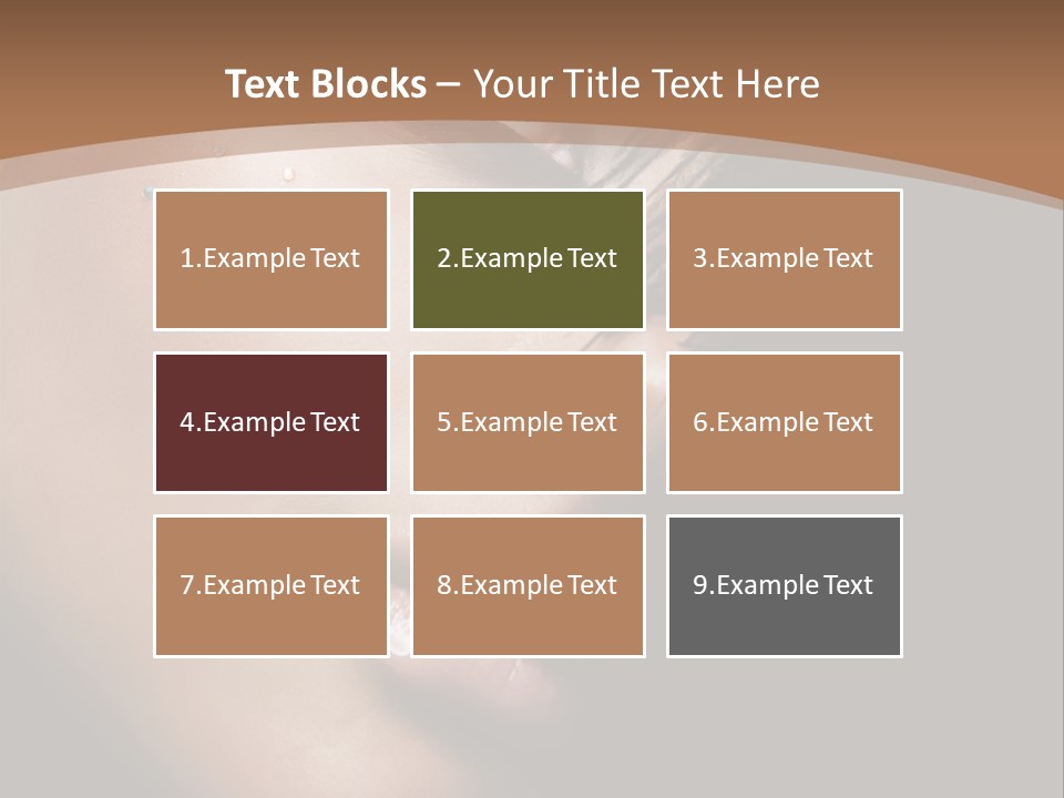 Woman Perfect Complexion PowerPoint Template