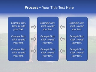 Young Ambient Summer PowerPoint Template