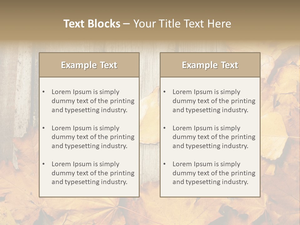 Detail Border Title PowerPoint Template
