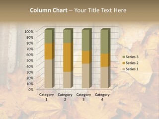 Detail Border Title PowerPoint Template