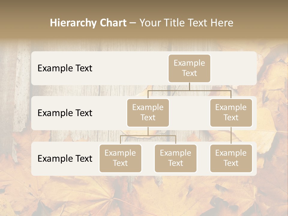 Detail Border Title PowerPoint Template