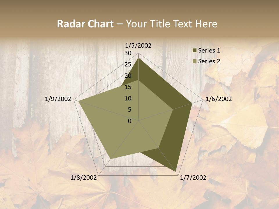 Detail Border Title PowerPoint Template