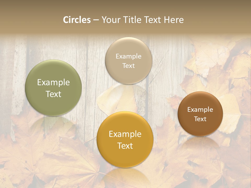Detail Border Title PowerPoint Template