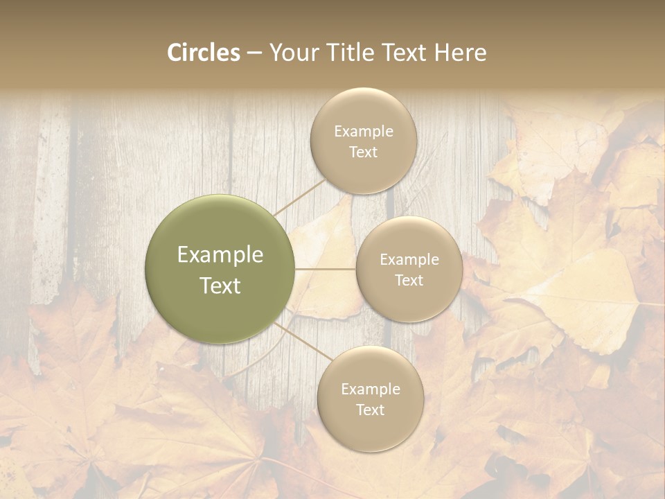 Detail Border Title PowerPoint Template