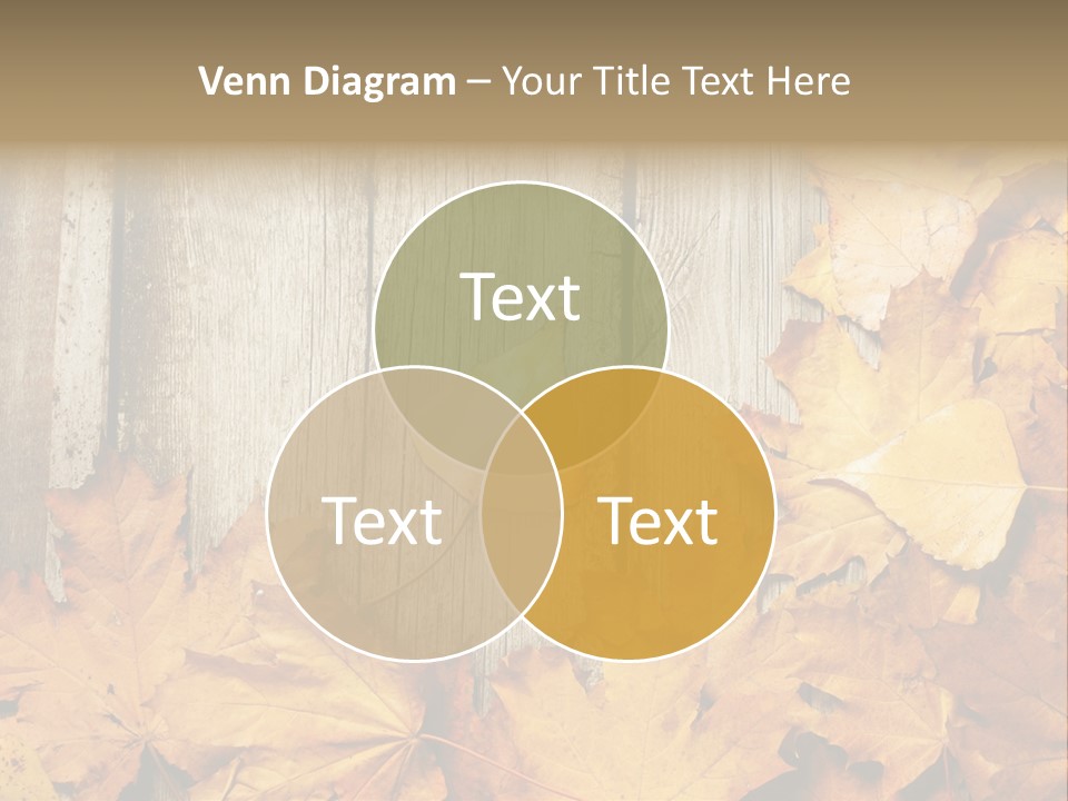 Detail Border Title PowerPoint Template