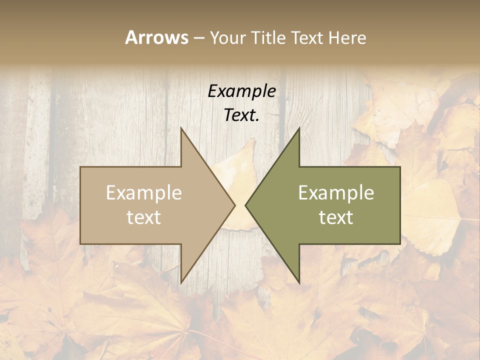 Detail Border Title PowerPoint Template