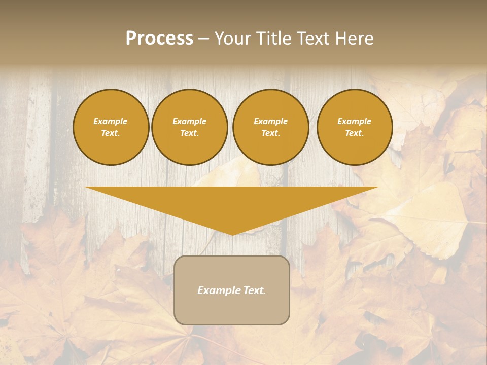 Detail Border Title PowerPoint Template